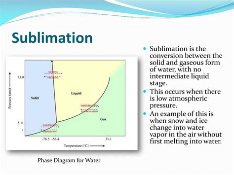 PPT - The Water Cycle PowerPoint Presentation, free download - ID:1970937