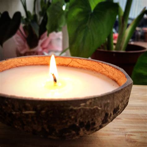 Coconut Shell Candle | Coconut shell candle, Shell candles, Coconut candle