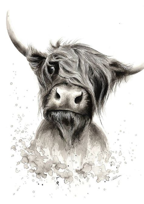 Highland Cow Painting, Highland Cow Art, Cow Illustration, Watercolor ...