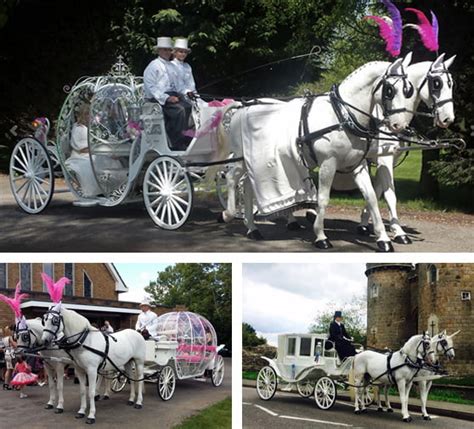 Horse & Carriage Wedding Service | Horsedrawn Occasions