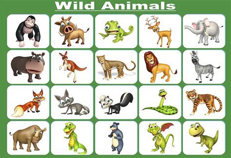 List of Wild Animals Names in English For Kids