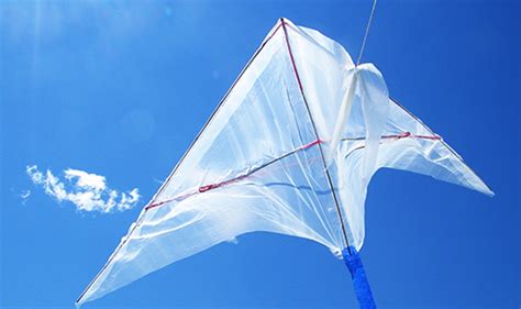 qwqrqrq: [43+] Diy Kite Design Ideas