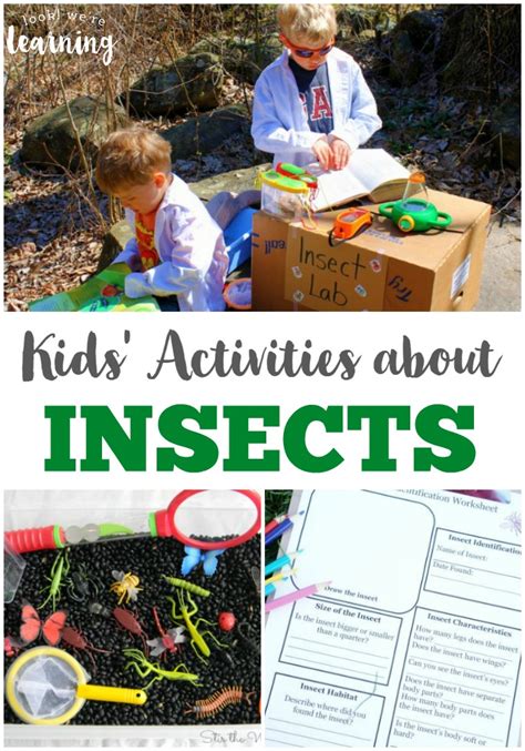 25 Insect Activities for Kids - Look! We're Learning!