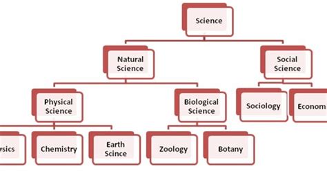 Branches Of Science Concept Map