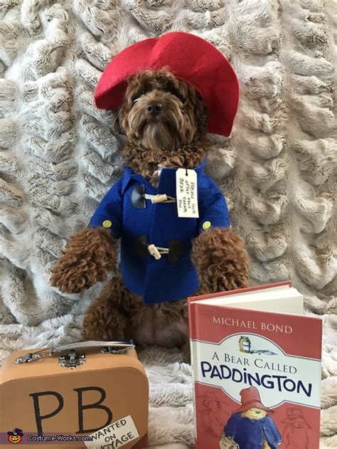 Paddington Bear Dog Costume