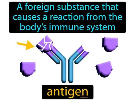 Antigen Definition & Image | GameSmartz