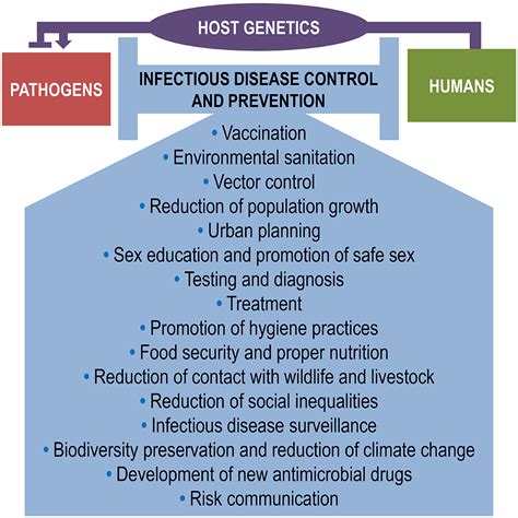 Which of the Following Activities Exemplifies Disease Prevention ...