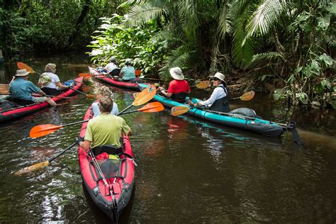 Kayak the amazon river | Kayaking, Adventure travel, South america