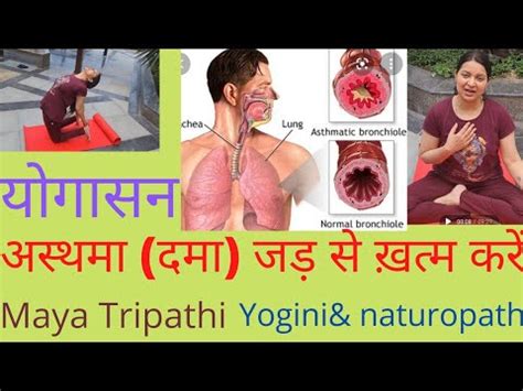 Yog and Pranayam for asthma and related problems | Yog With Maya ...