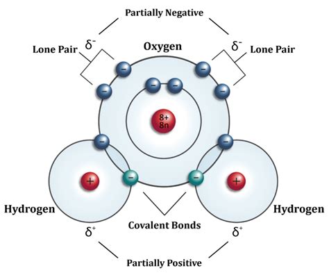 What is the molecular structure of H_2O ? | Socratic