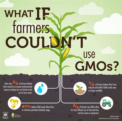 What if farmers couldn't use GMOs? Infographic from U.S. Farmers ...