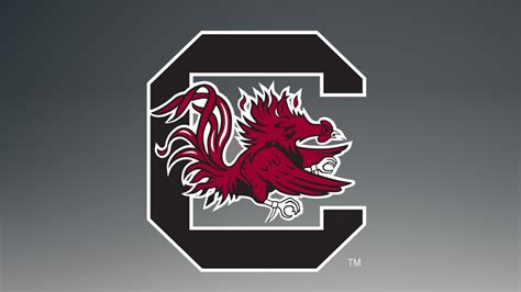 🔥 [80+] University Of South Carolina Wallpapers | WallpaperSafari