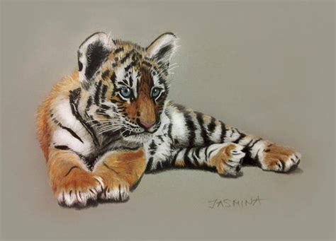 Tiger Cub - Colored Pencils Drawing by JasminaSusak on DeviantArt