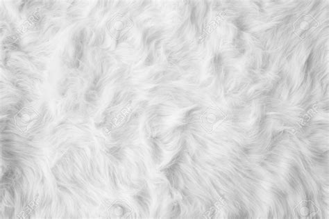 Whitecotton Wallpaper