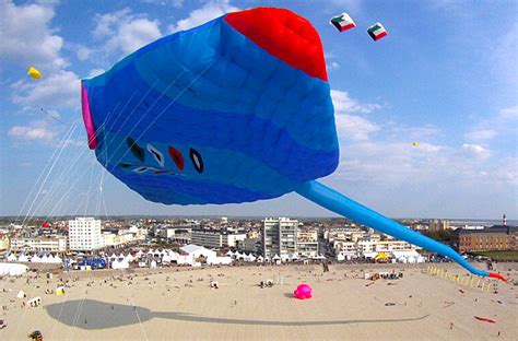 World's largest kite flies in Berck-sur-Mer