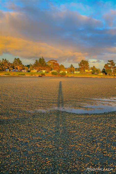 fd carnice - Sunrise at Ruakaka Beach Holiday Park