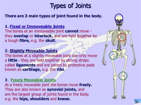 Fixed Joints Diagram