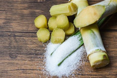 How to Make Sugar From Sugarcane | Sugar cane plant, Healthy recipes ...