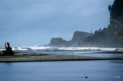 "Taholah, Washington Beach" by Loisb | Redbubble