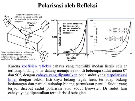 PPT - POLARISASI GELOMBANG PowerPoint Presentation, free download - ID ...