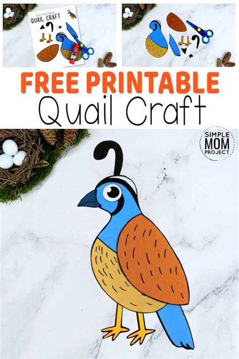 Easy Cut and Paste Quail Craft for Kids – Simple Mom Project