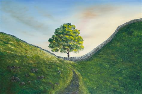 Sycamore Gap, Hadrian's Wall | The Wallington Gallery