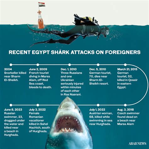 Will Red Sea shark attack bite into Egypt’s tourism revival hopes ...