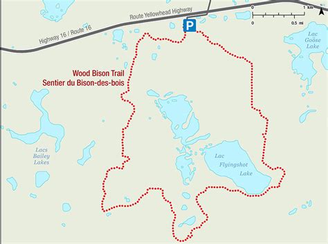 Wood Bison Trail - Elk Island National Park