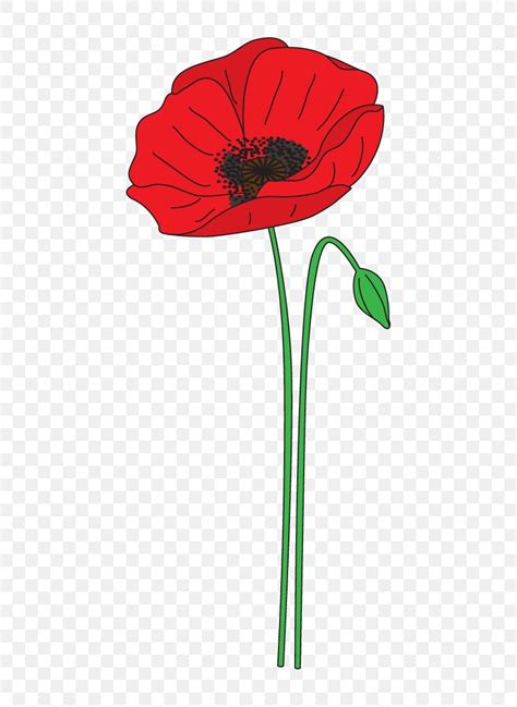 Remembrance Poppy Anzac Day Flower Clip Art, PNG, 539x1123px, Poppy ...