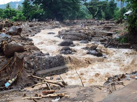 Pasca Banjir Bandang di NTT, Saatnya Menanam Pohon - Mongabay.co.id