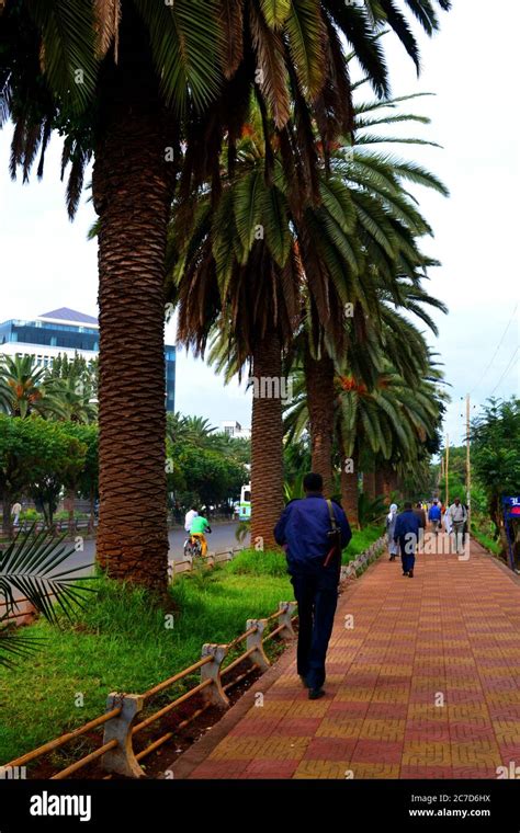 Bahir Dar city, Ethiopia Stock Photo - Alamy