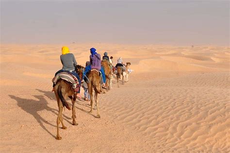 Sahara Desert Camel Trek in Tunisia 6-Day Tour - Mosaic North Africa