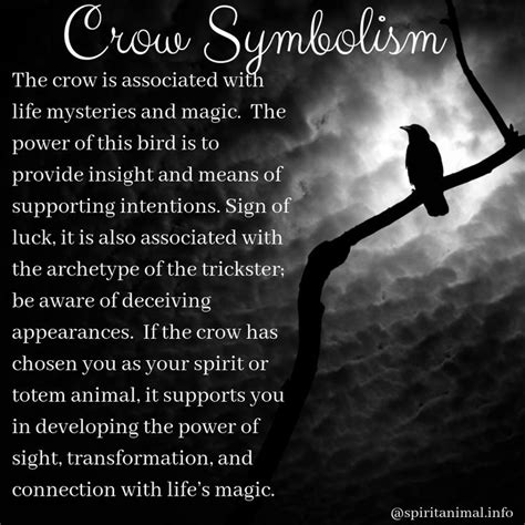 The Crow Spirit Animal: A Beacon of Clarity and Insight (Message ...