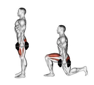 Exercise Database (Legs5) - Dumbbell Lunges — Jase Stuart - The Better ...