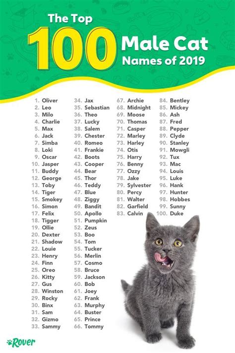 Pin on Cat Names