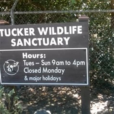 Tucker Wildlife Sanctuary - Zoos - Silverado, CA - Yelp