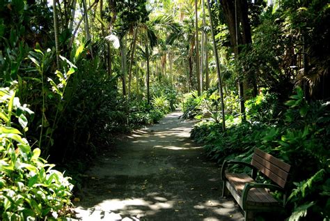 Botanical Gardens Honolulu - Exploring Oahu S Hoomaluhia Botanical ...