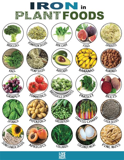 20 Plant-Based Foods Rich in Iron To Stay Energized and Anemia-Free ...