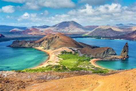 A guide to diving in the Galapagos Islands | ZuBlu