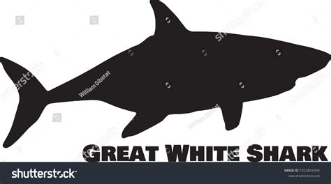 Great White Shark Silhouette On White Stock Vector (Royalty Free ...