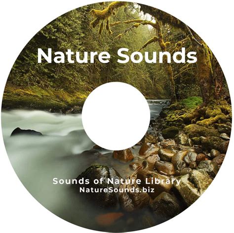 Nature Sounds Relaxation & Meditation CD Collection - Meditate On This