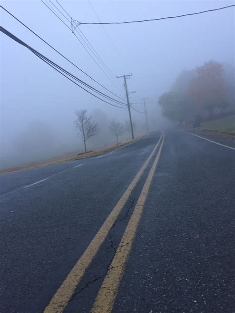 Fog aesthetic | Aesthetic pictures, Picture, Aesthetic