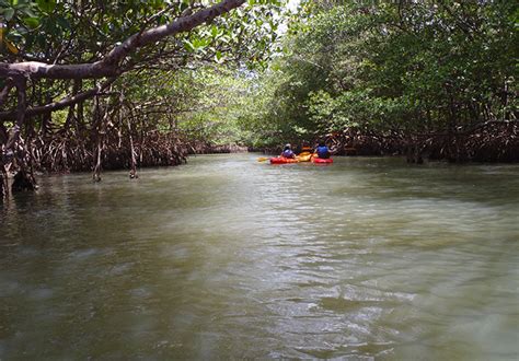 Paddling Miami – Florida Hikes