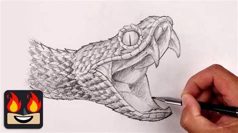 How To Draw A Viper Snake