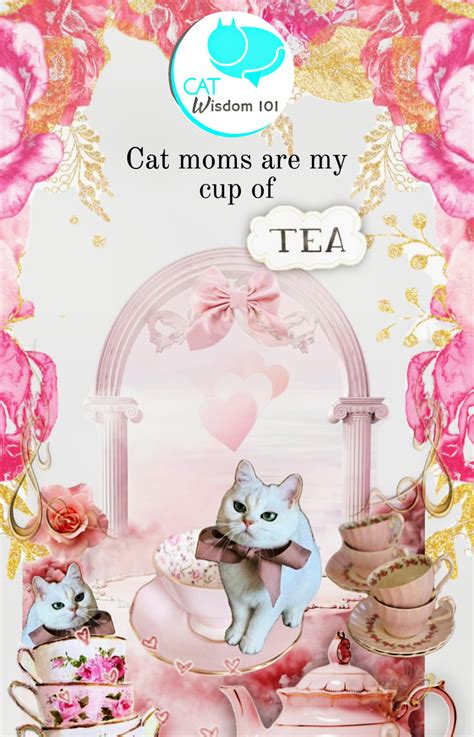 Mother’s Day: Sad Truth & Fun Facts For Cat Moms