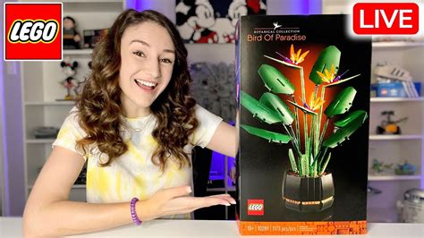 🔴 LEGO Bird of Paradise Live Build Stream & FAN MAIL UNBOXING! - YouTube