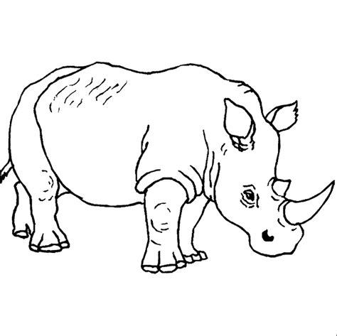 Rhino Outline Drawing - ClipArt Best