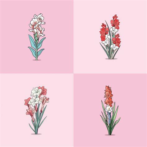 gladiolus vector clip art illustration 32408902 Vector Art at Vecteezy