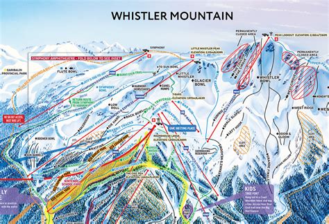 Whistler Ski Run Topographic Map - Dennis Tsang