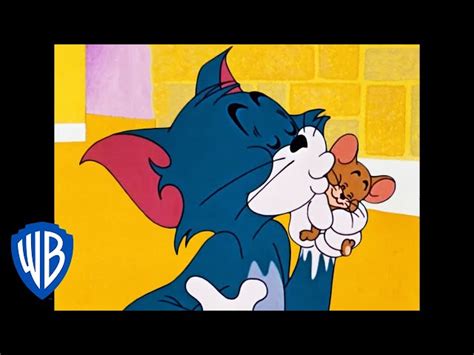 Tom And Jerry Cartoon Friends